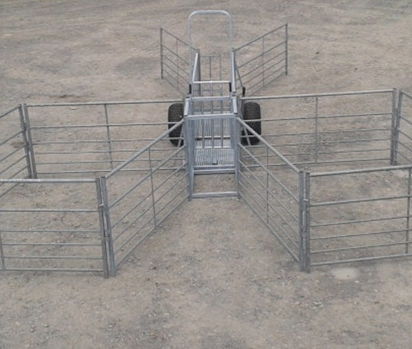 mobile_race_1 mobile_race_1